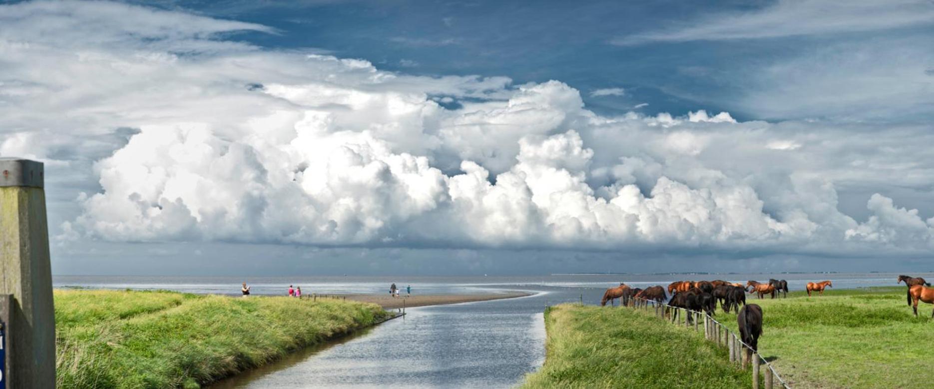 Vila Vakantieverblijf Te Plak Tzummarum Exteriér fotografie